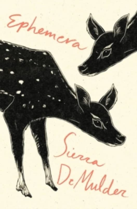 Image of Ephemera Paperback / softback