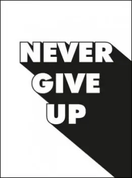 Image of Never Give up by Summersdale Hardback