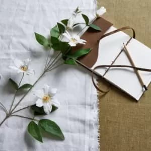 Image of White Florida Clematis