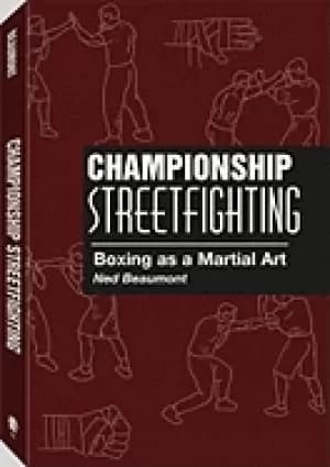 Image of championship streetfighting boxing as a martial art