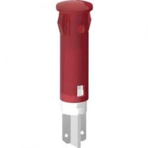 Image of LED indicator light Blue Arrow 12 Vdc 12 V AC