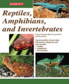 Image of Reptiles Amphibians and Invertebrates by R.D. Bartlett Paperback
