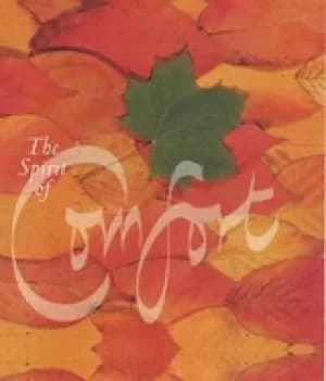 Image of spirit of comfort