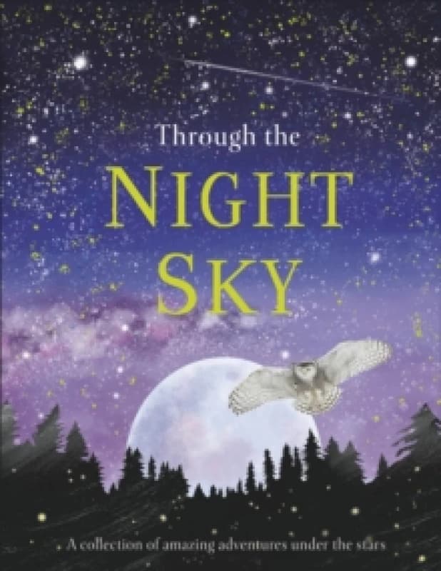Image of DK Through the Night Sky Book Multi unisex