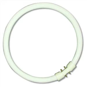 Image of Bell 22W CFL T5 2GX13 Circular Bulb - Cool White