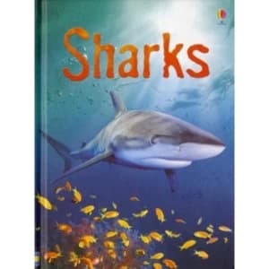 Image of Sharks by Catriona Clarke (Hardback, 2007)