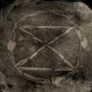 Image of Extinction by Common Eider, King Eider CD Album
