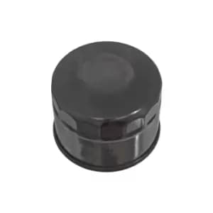Image of Oil Filter ADS72106 by Blue Print