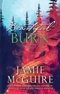Image of beautiful burn a novel