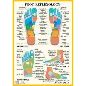 Image of Foot Reflexology -- A2 1997 Poster