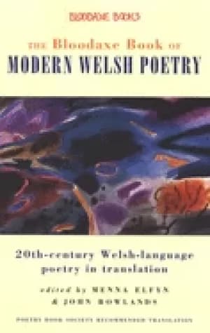 Image of bloodaxe book of modern welsh poetry 20th century welsh language poetry in