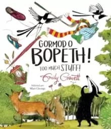 Image of Gormod o Bopeth! / Too Much Stuff!