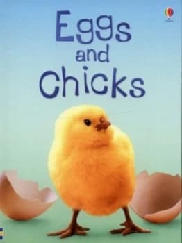 Image of Eggs and Chicks by Fiona Patchett and Tetsuo Kushii and Zo Wray and S. James Reynolds and Alison Kelly Hardback