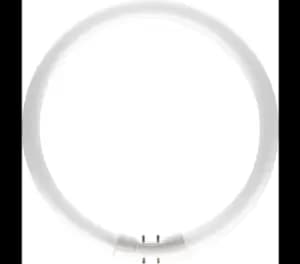 Image of Philips 60W TL5 Circular Tube Halogen 60W E11 - 64261525
