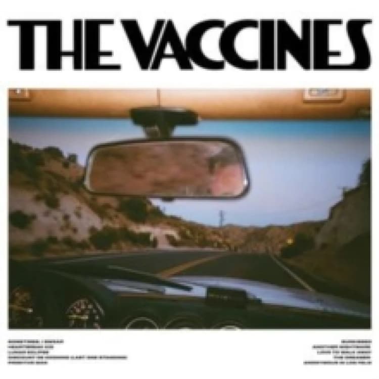 Image of Pick-up Full of Pink Carnations CD / Album