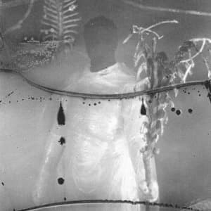 Image of Preservation Rituals by Vile Creature CD Album