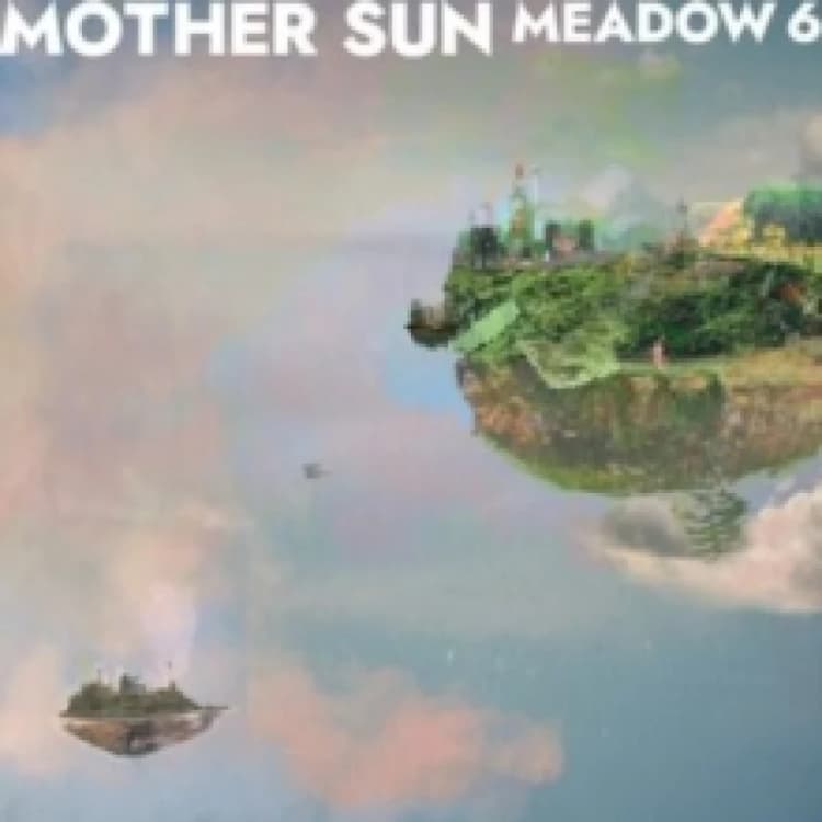 Image of Meadow 6 Vinyl