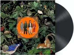 Image of Don Broco Amazing things LP black