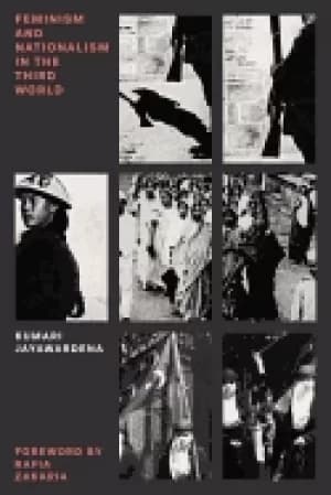 Image of feminism and nationalism in the third world