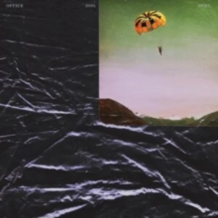 Image of Spiel Vinyl
