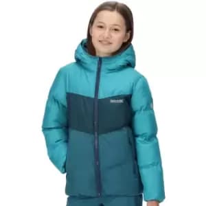 Image of Regatta Girls Lofthouse VI Hooded Padded Coat 13 Years - Chest 79-83cm (Height 153-158cm)