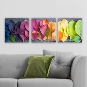 Image of P2253353 Multicolor Decorative Canvas Painting (3 Pieces)