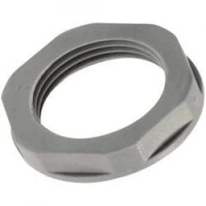 Image of Locknut PG13.5 Polyamide Light grey RAL 7035 LappKabel SKINTOP GMP GL PG135