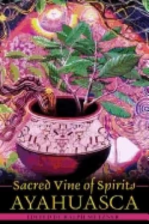 Image of sacred vine of spirits ayahuasca