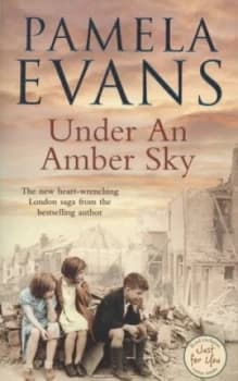 Image of Under an Amber Sky by Pamela Evans Paperback