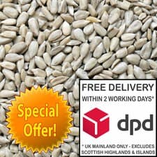Image of 25kg Sunflower Hearts - 2 x 12.55kg Premium Bakery Grade Kernels Wild Bird Food