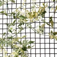 Image of Heavy Duty Garden Mesh Netting Fencing Chicken Wire Fence Rabbit Plant Supports