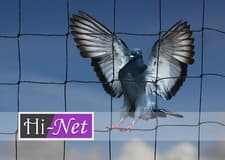 Image of Garden Netting Heavy Duty Anti Bird Net 50mm (2") Mesh Strong Knotted Pond Sizes
