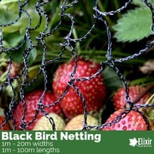Image of Garden Bird Netting | 1m - 20m | Pond Garden Fruit Veg Crop Protection from Bird