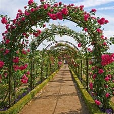Image of Heavy Duty Metal Garden Arch Rose Archway Pergola Arbour Climbing Plants Trellis