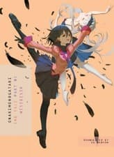 Image of NisiOisiN Owarimonogatari, Part 1 (Paperback)