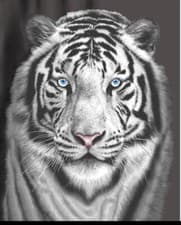 Image of 3D Animal Print Effect Mink Faux Fur Throw Fleece Blanket Soft Warm Bed Sofa