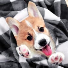 Image of Flannel Fleece Checker Plaid Decorative Throw Blankets Black and White 30"*40"