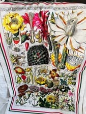 Image of Wanda Coyne Luxury Botanical Cactus Floral Cotton Tea Towel
