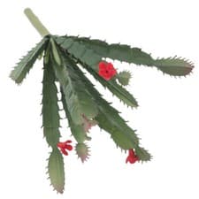 Image of Lifelike Fake Cactus Plant Unpotted Artificial Succulents Desk Ornament