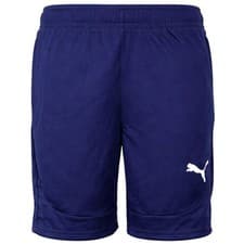 Image of Puma teamFinal Mens Navy Training Shorts 658566_06