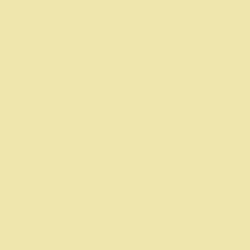 Image of Sandtex 365 All Weather Masonry Paint 5L