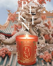 Image of Diptyque PEKIN (Beijing) Limited Edition City Candle 190g Genuine,New,Sealed Box