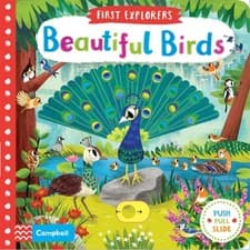 Image of Beautiful Birds by Chorkung BOARD BOOK 9781509898336