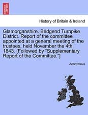 Image of Glamorganshire. Bridgend Turnpike District. Rep. Anonymous<|