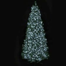 Image of Premier 1000 LED Multi-Action TreeBrights Christmas Tree Lights with Timer WHITE