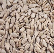 Image of Premium Sunflower Hearts Wild Bird Food No Mess High Energy Winter Feed 12.5kg