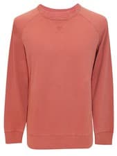 Image of White Stuff Terracotta Mens Pure Cotton Crew Neck Sweat Top