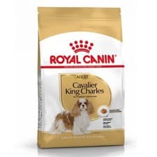 Image of Royal Canin Adult Cavalier King Charles Spaniel Dry Dog Food