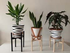 Image of Medium Size in Round Leg Plant Pot Stand from 30cm to 40cm High