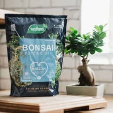 Image of Bonsai Potting Mix Compost Soil Peat Free 4 litres Westland